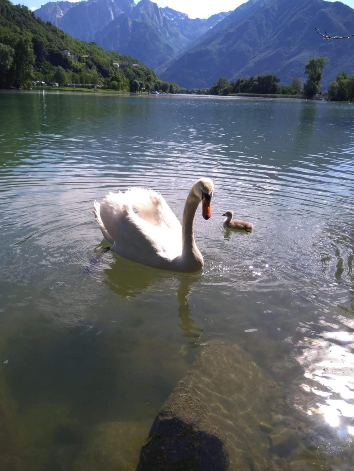 Villa Anna Sorico Bagian luar foto