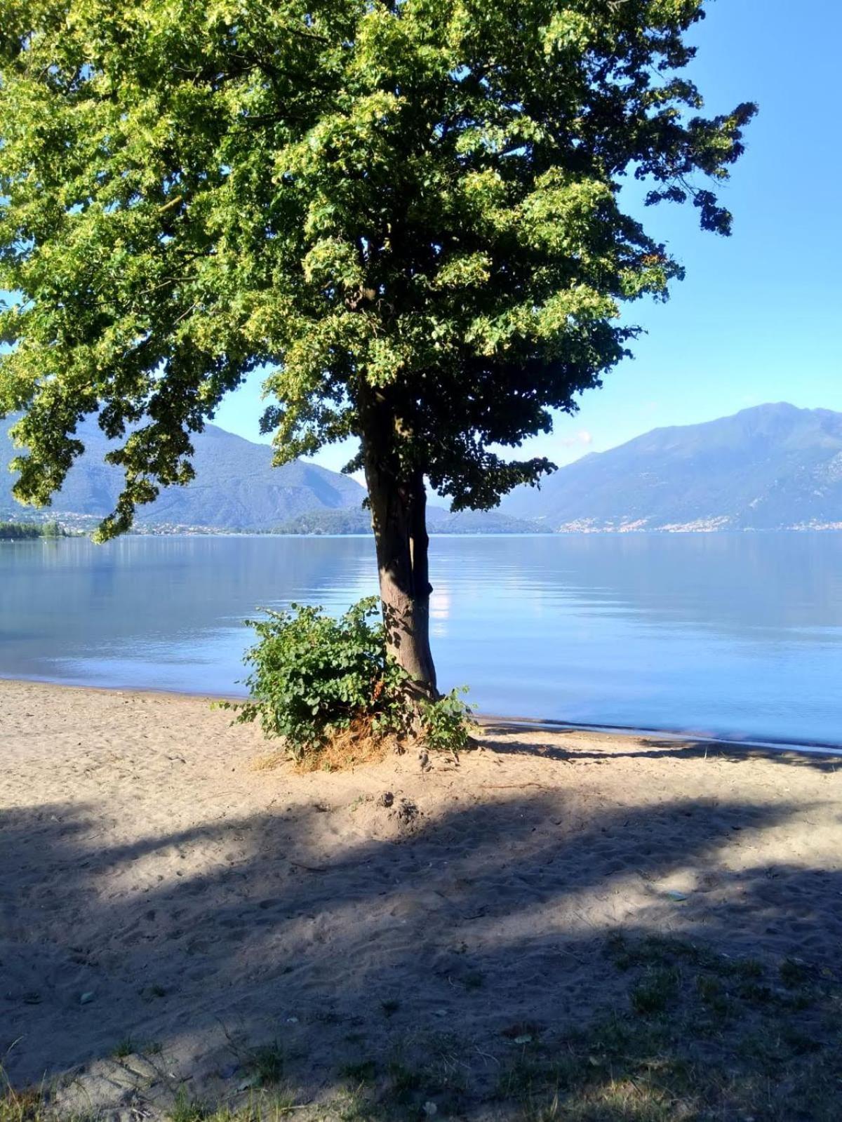 Villa Anna Sorico Bagian luar foto