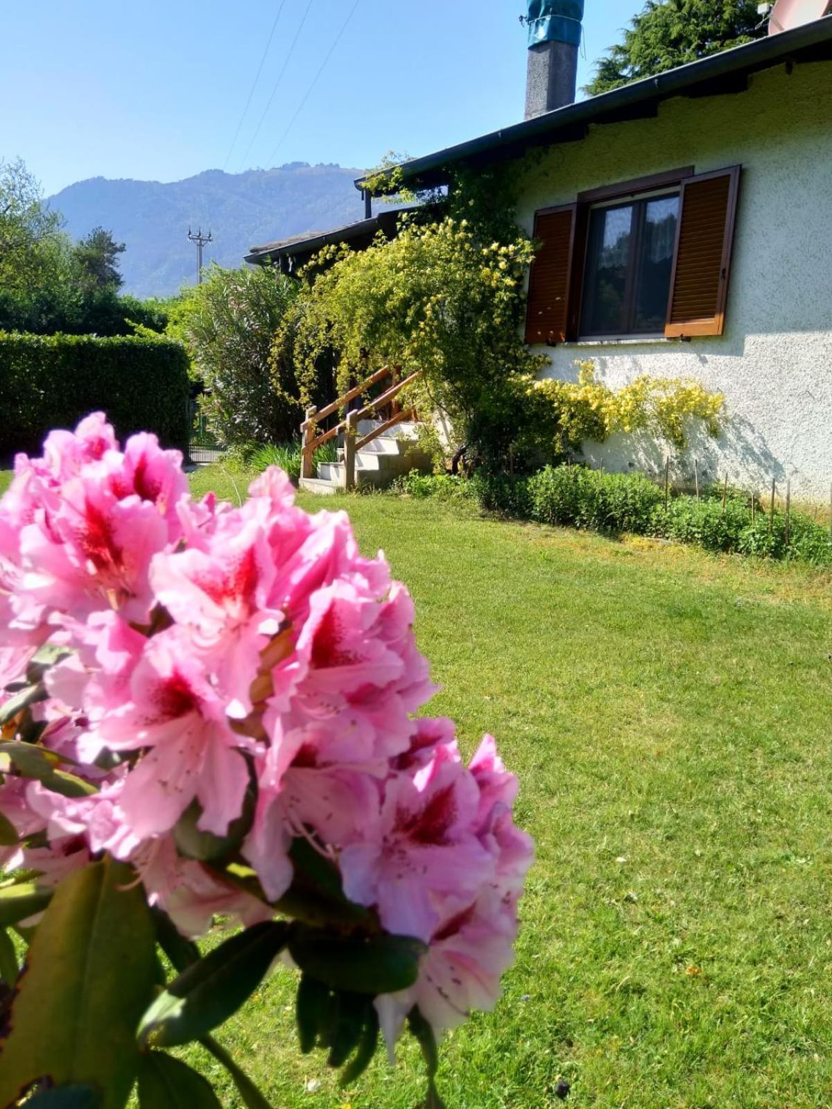 Villa Anna Sorico Bagian luar foto