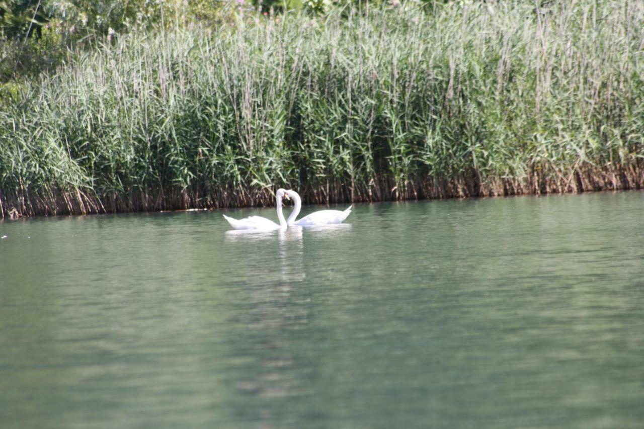 Villa Anna Sorico Bagian luar foto